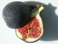 Figs